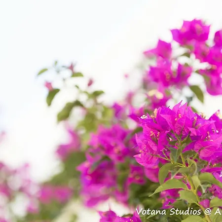 Votana Apartamento *